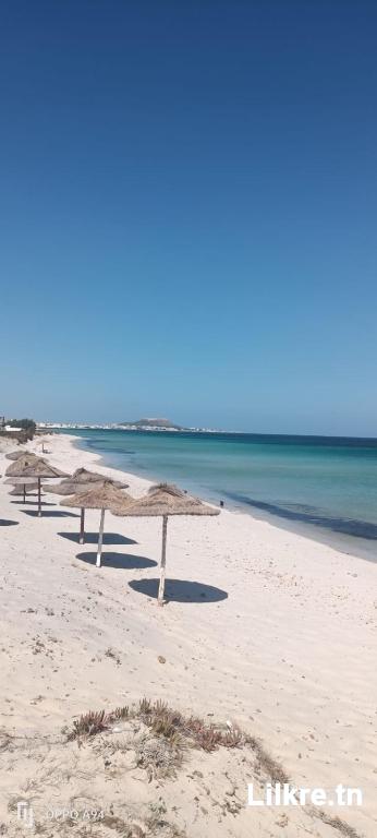 location de vacances Kelibia Ain Grenz 