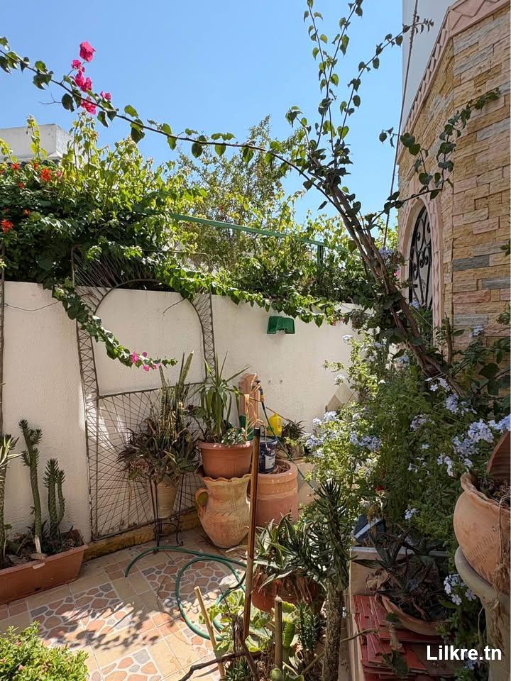 A louer un   Charmante maison S+2