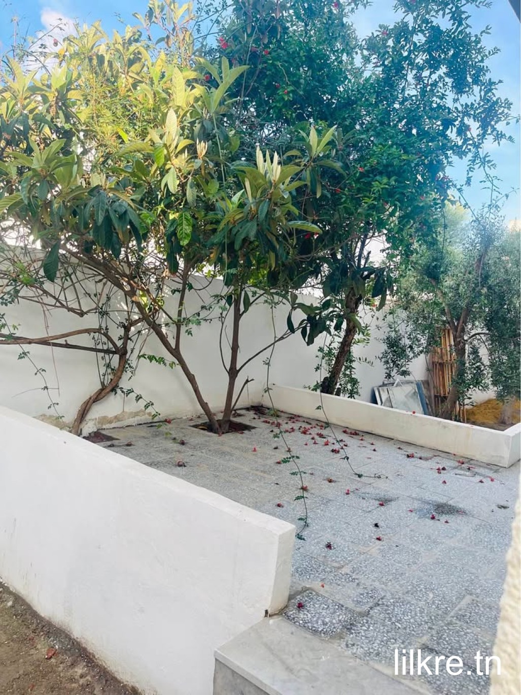 A louer un appartement s+2 borj louzir 