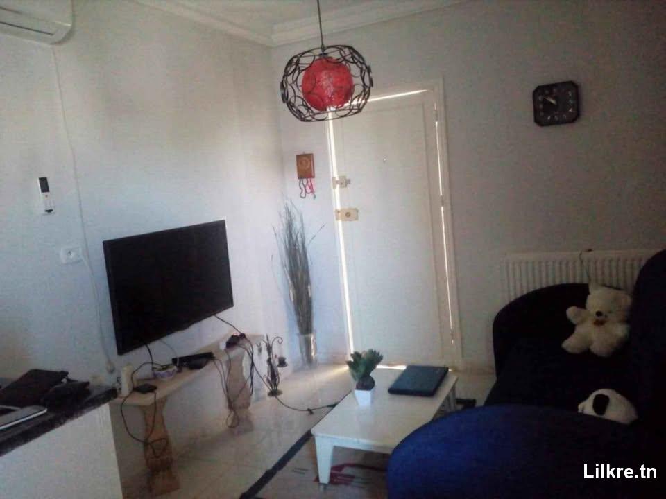 appartement s+1