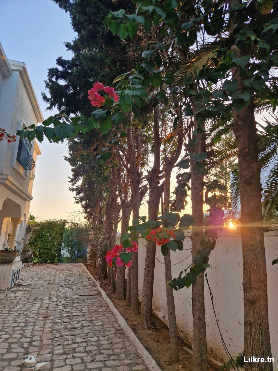 Villa  de luxe à Yassmine Hammamet