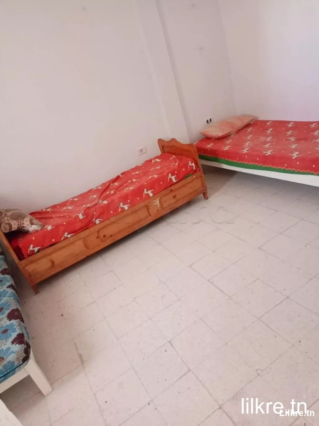  À louer : Studio S+1 à Bab Saadoun