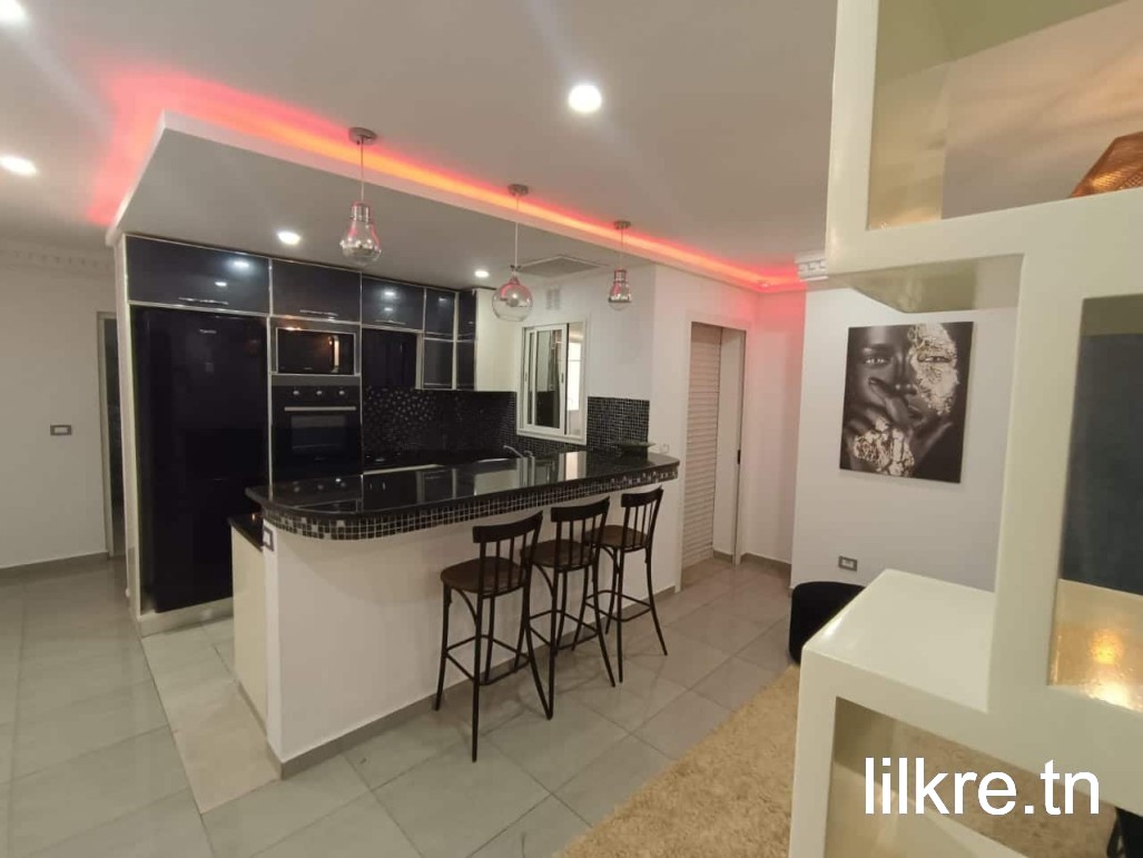 S+1 richement meublé  a ain zaghaoune 