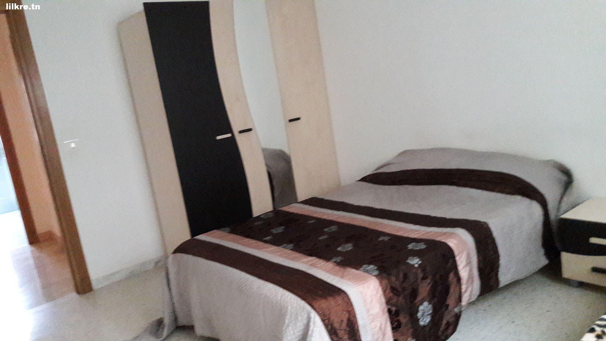 A louer un  Appartement S+1  Richement Meublé spacieux au Ain Zaghouan