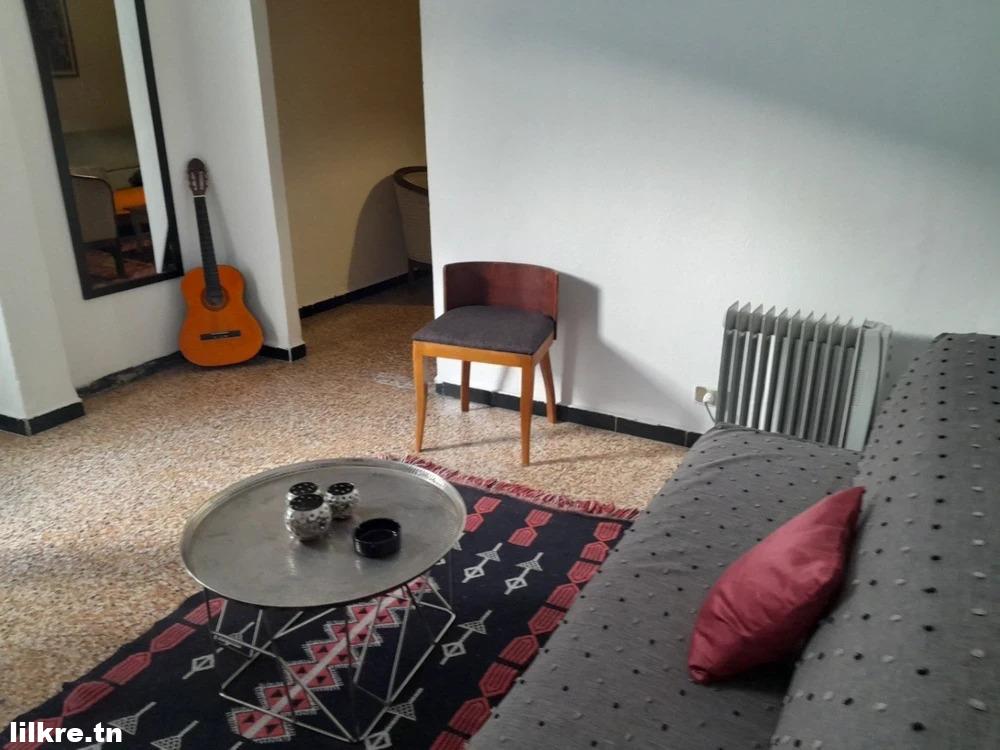  A louer un Appartement S+1 Richement Meublé à La Marsa