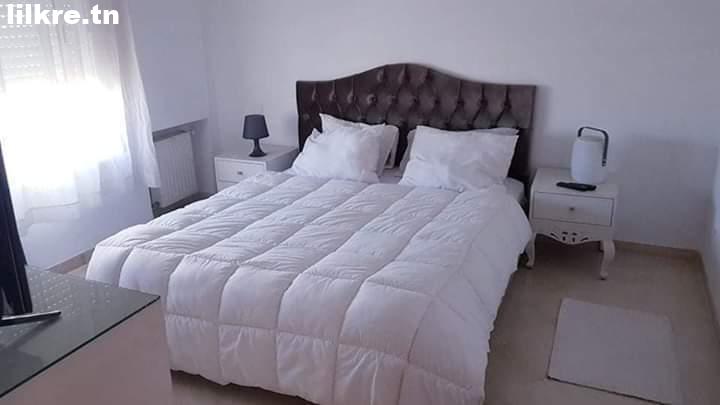  A louer un Appartement S+1 Richement Meublé à cité Ennasr
