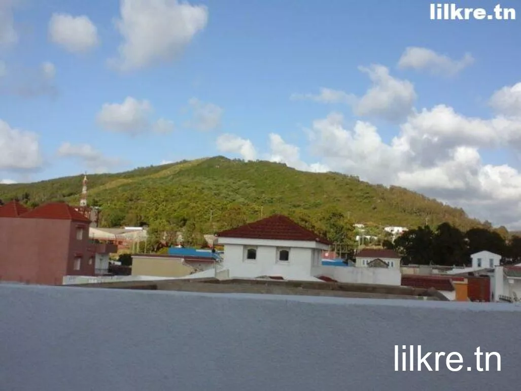 A louer une maison S+3 meublée par jour Tabarka