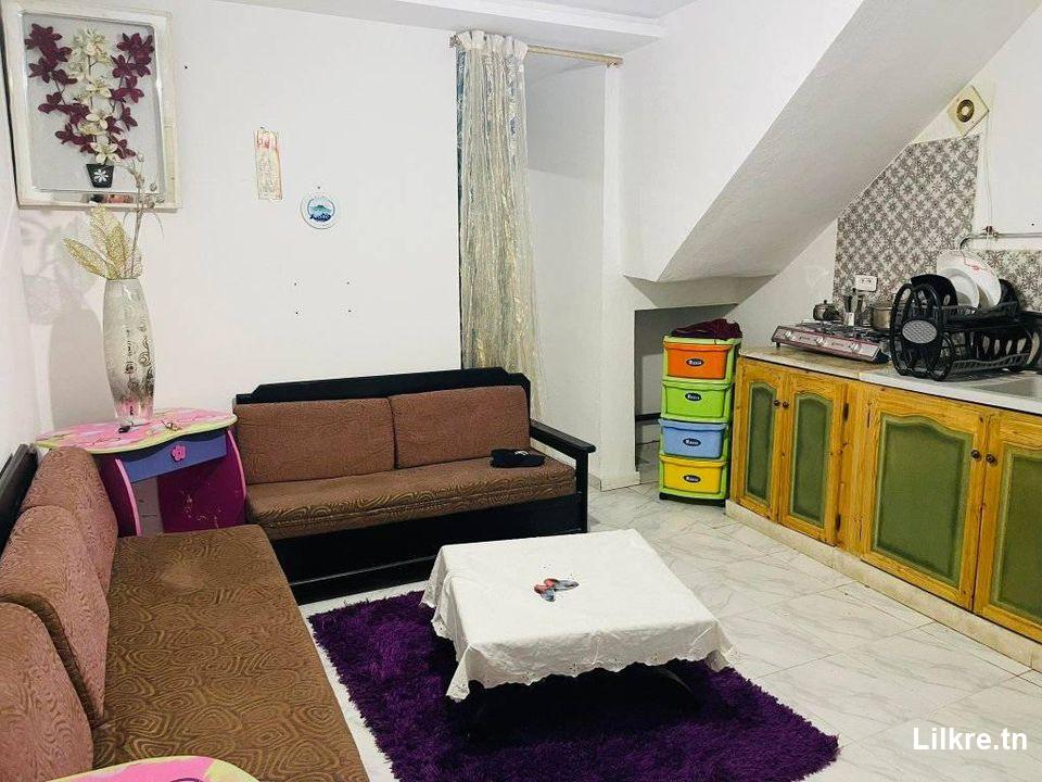 A louer un Appartement S+2 Richement Meublé à Marsa