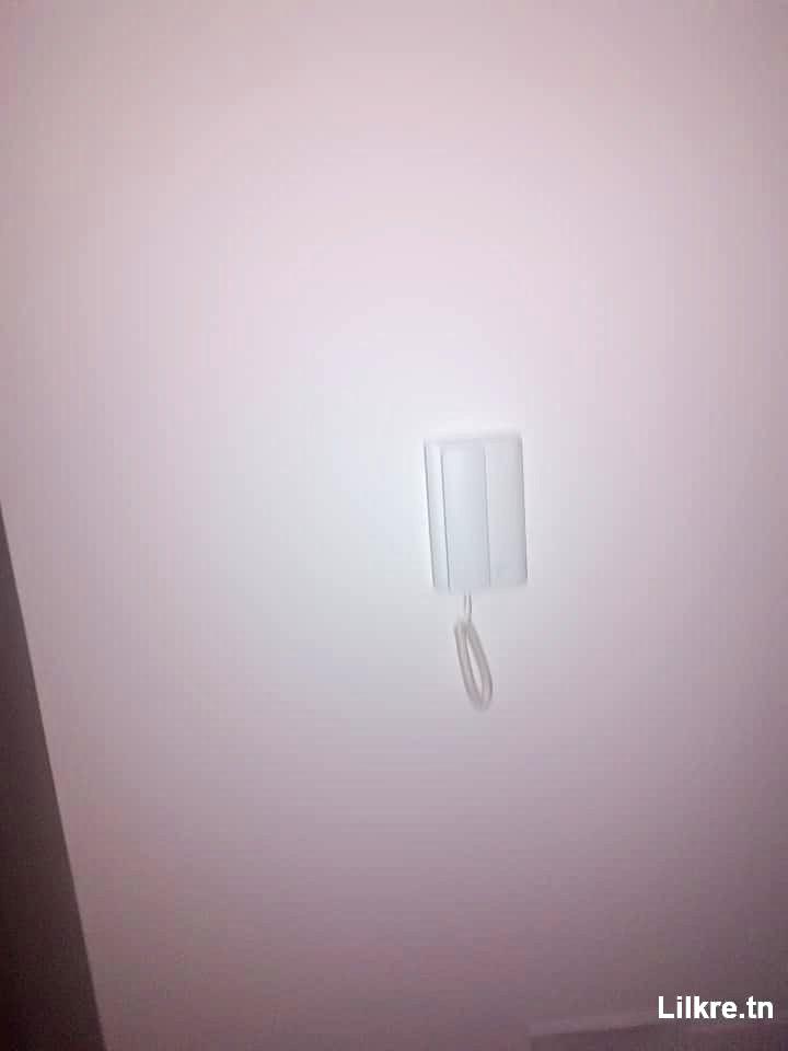 A louer un Appartement S+2 à oued Ellil Manouba 