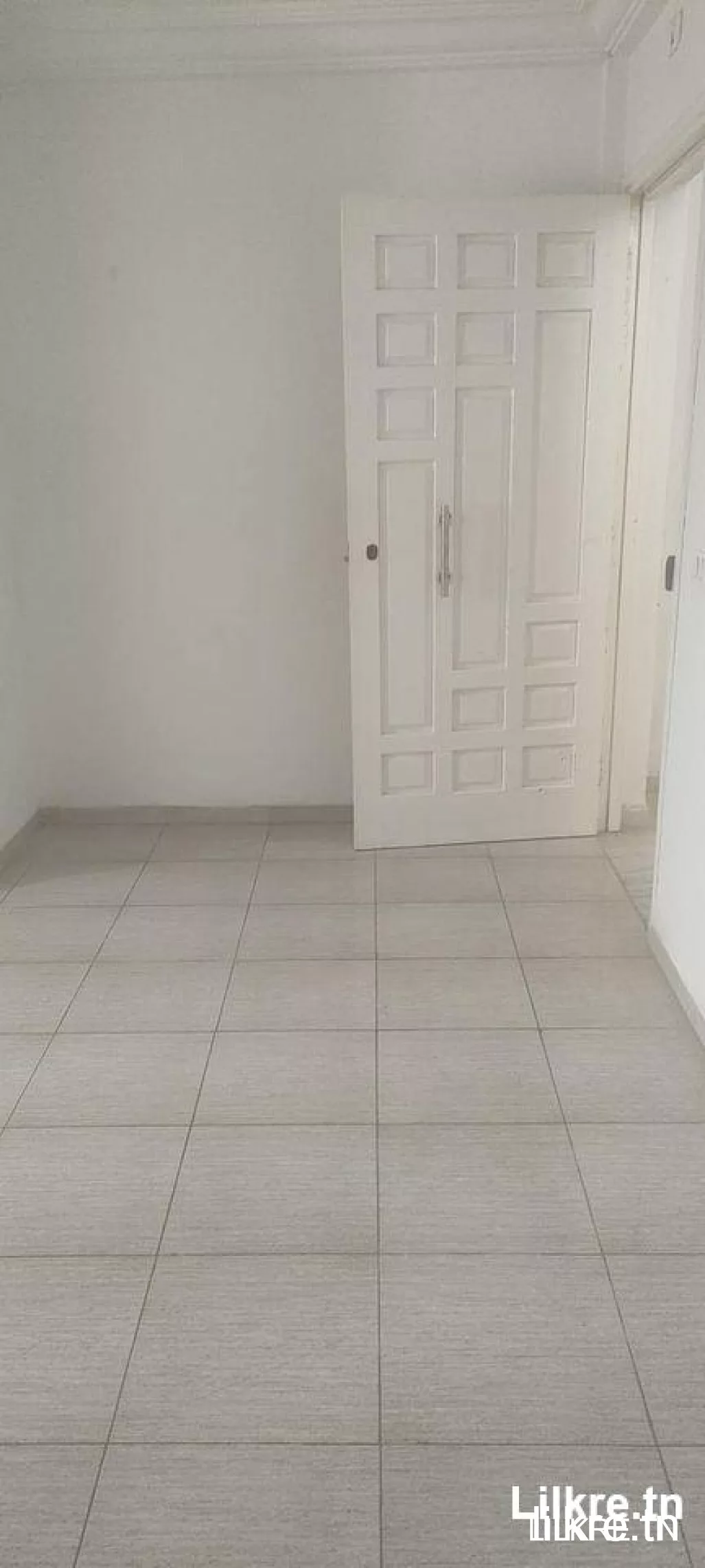 Appartement s+2